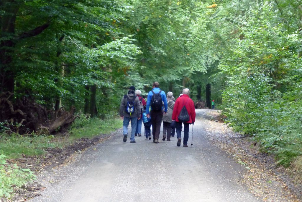 Wanderweg vom Burgberg zum Baumwipfelpfad