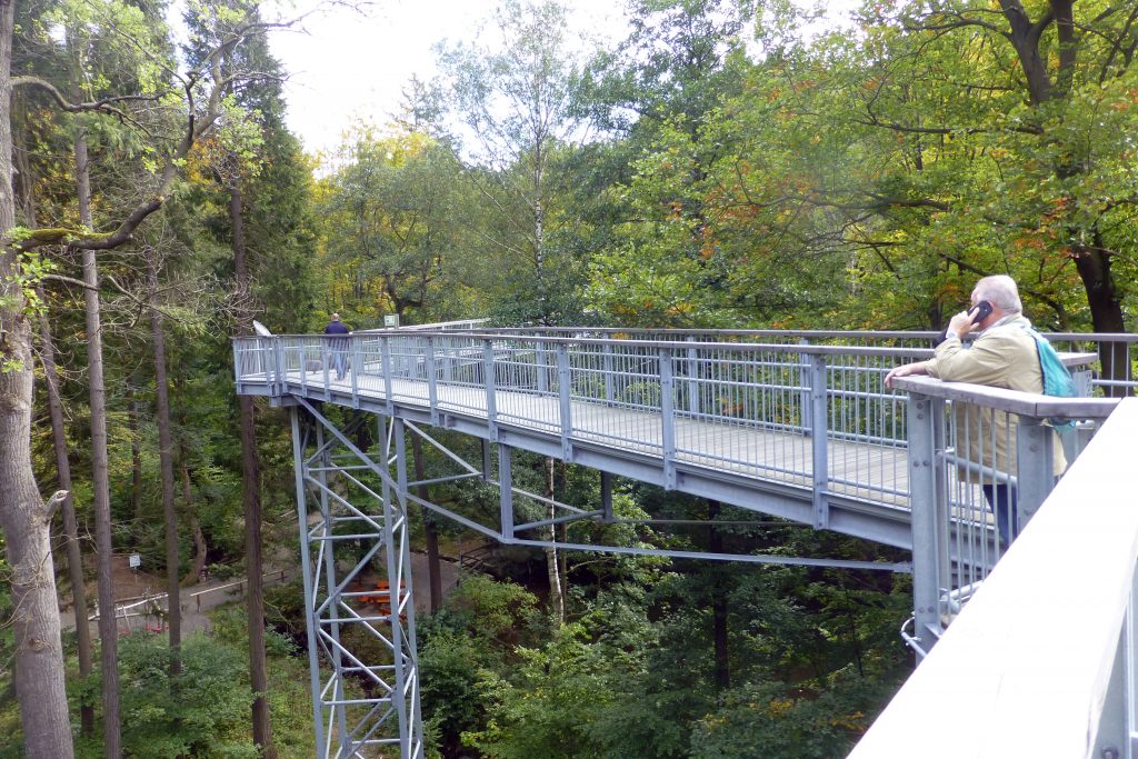 Baumwipfelpfad Bad Harzburg