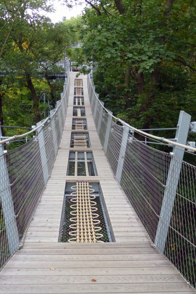 Abenteuerbrücke Baumwipfelpfad