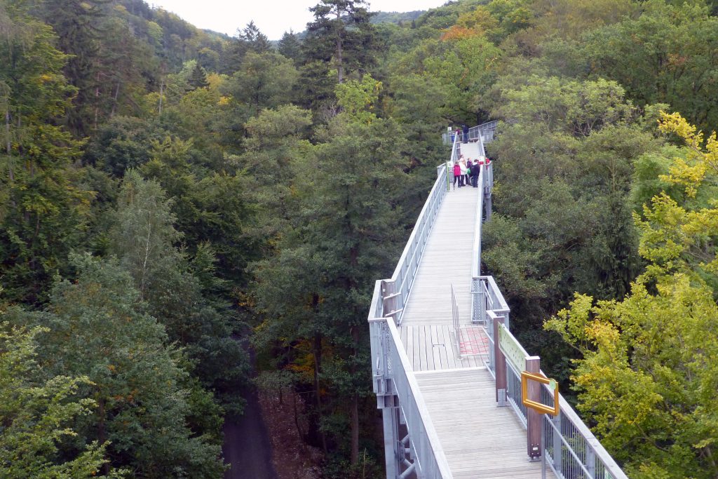 Baumwipfelpfad Bad Harzburg